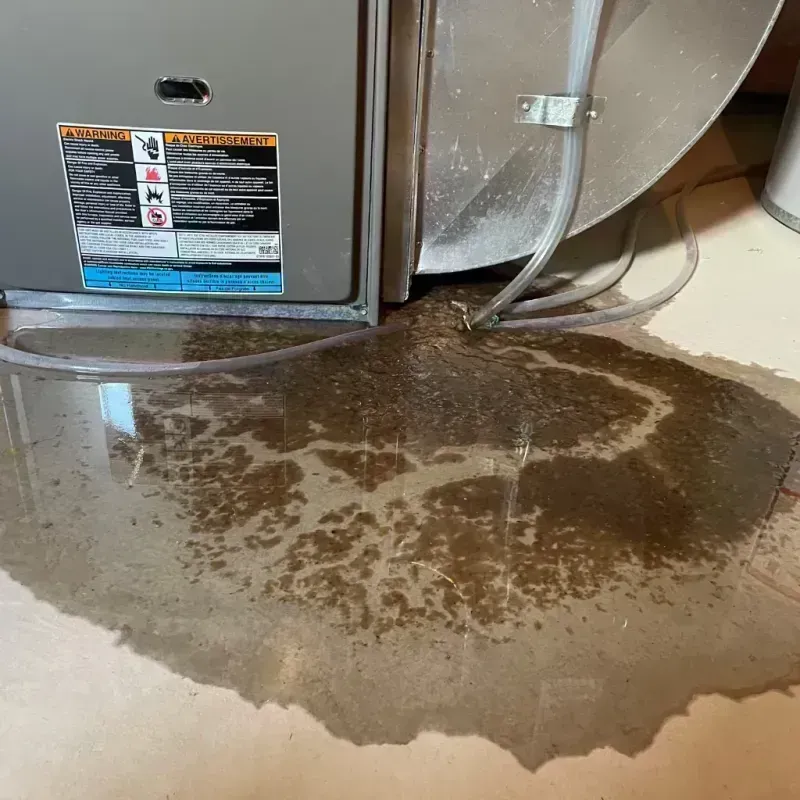 Appliance Leak Cleanup in Matagorda County, TX